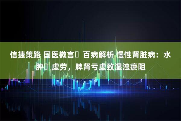 信捷策路 国医微言・百病解析 慢性肾脏病：水肿・虚劳，脾肾亏虚致湿浊瘀阻