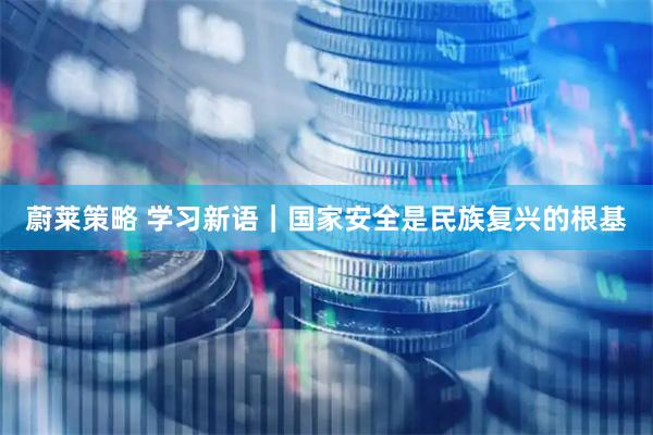 蔚莱策略 学习新语｜国家安全是民族复兴的根基