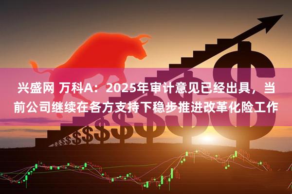 兴盛网 万科A：2025年审计意见已经出具，当前公司继续在各方支持下稳步推进改革化险工作