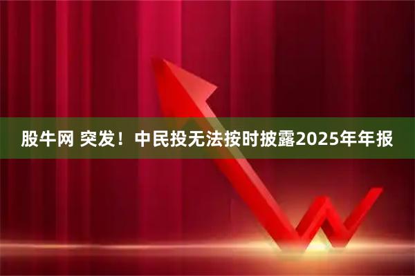 股牛网 突发！中民投无法按时披露2025年年报
