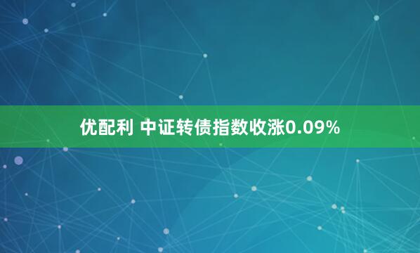 优配利 中证转债指数收涨0.09%