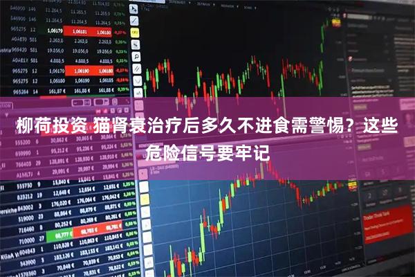 柳荷投资 猫肾衰治疗后多久不进食需警惕？这些危险信号要牢记