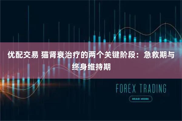 优配交易 猫肾衰治疗的两个关键阶段：急救期与终身维持期