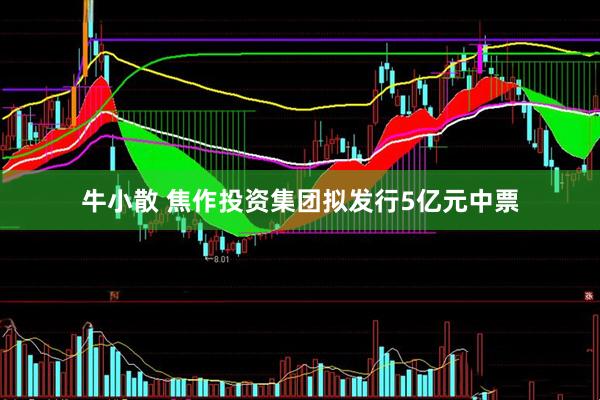 牛小散 焦作投资集团拟发行5亿元中票