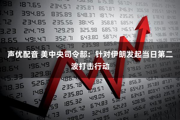 声优配音 美中央司令部:针对伊朗发起当日第二波打击行动