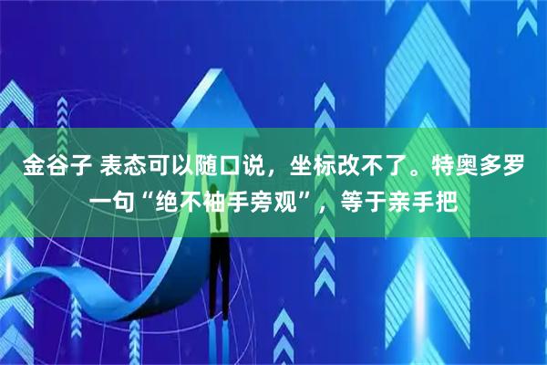 金谷子 表态可以随口说，坐标改不了。特奥多罗一句“绝不袖手旁观”，等于亲手把