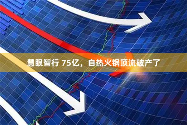 慧眼智行 75亿，自热火锅顶流破产了