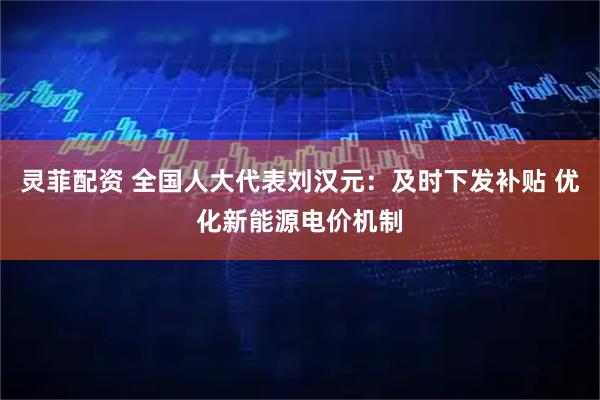 灵菲配资 全国人大代表刘汉元：及时下发补贴 优化新能源电价机制