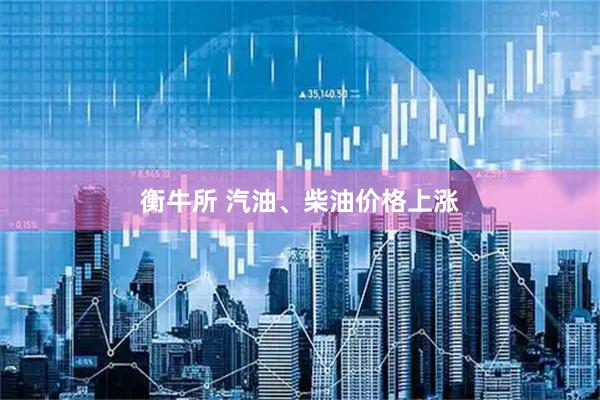 衡牛所 汽油、柴油价格上涨
