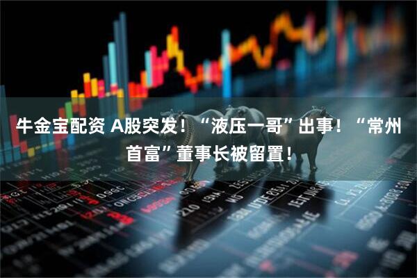 牛金宝配资 A股突发！“液压一哥”出事！“常州首富”董事长被留置！