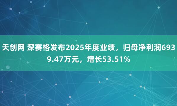 天创网 深赛格发布2025年度业绩，归母净利润6939.47万元，增长53.51%