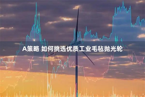 A策略 如何挑选优质工业毛毡抛光轮
