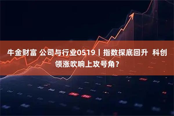 牛金财富 公司与行业0519丨指数探底回升  科创领涨吹响上攻号角？