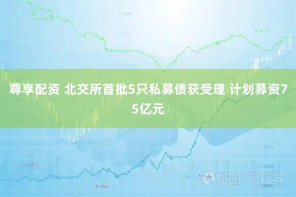 尊享配资 北交所首批5只私募债获受理 计划募资75亿元