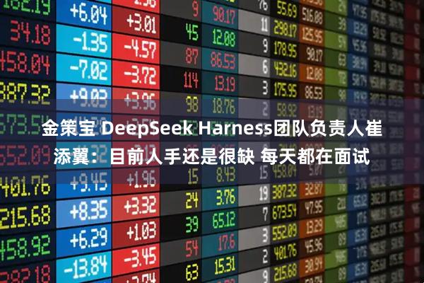金策宝 DeepSeek Harness团队负责人崔添翼：目前人手还是很缺 每天都在面试