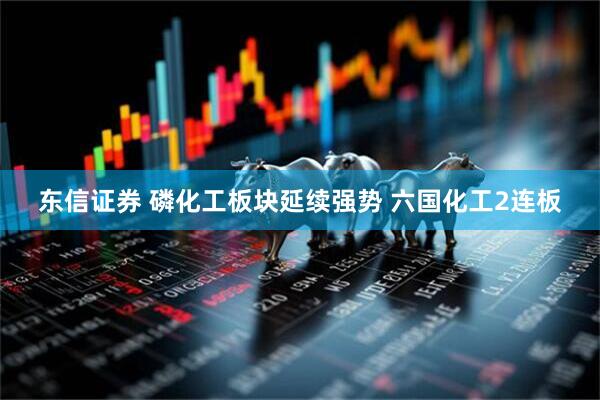 东信证券 磷化工板块延续强势 六国化工2连板