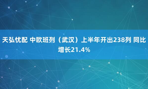 天弘忧配 中欧班列（武汉）上半年开出238列 同比增长21.4%