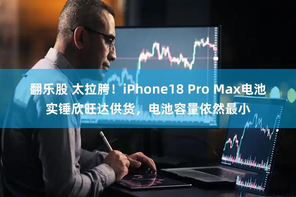 翻乐股 太拉胯！iPhone18 Pro Max电池实锤欣旺达供货，电池容量依然最小
