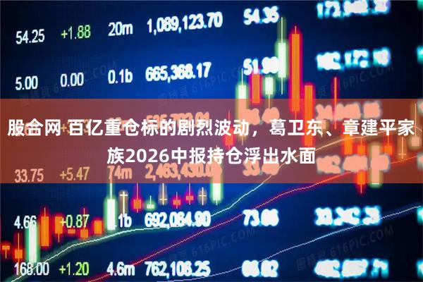 股合网 百亿重仓标的剧烈波动，葛卫东、章建平家族2026中报持仓浮出水面