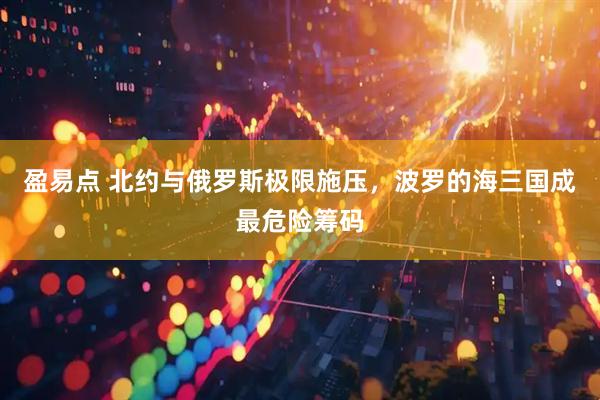 盈易点 北约与俄罗斯极限施压，波罗的海三国成最危险筹码