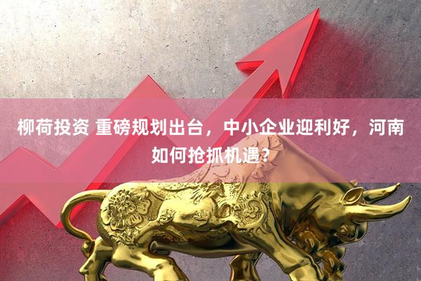 柳荷投资 重磅规划出台，中小企业迎利好，河南如何抢抓机遇？