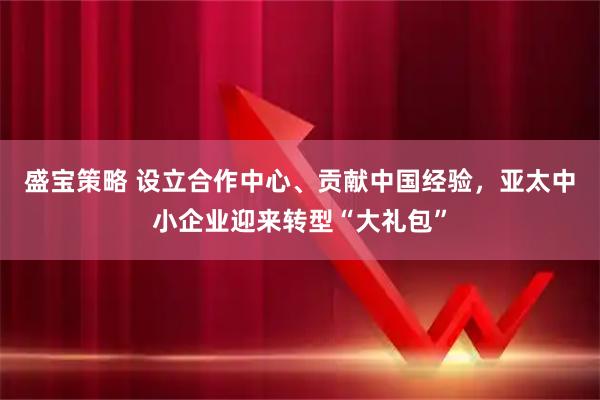 盛宝策略 设立合作中心、贡献中国经验，亚太中小企业迎来转型“大礼包”